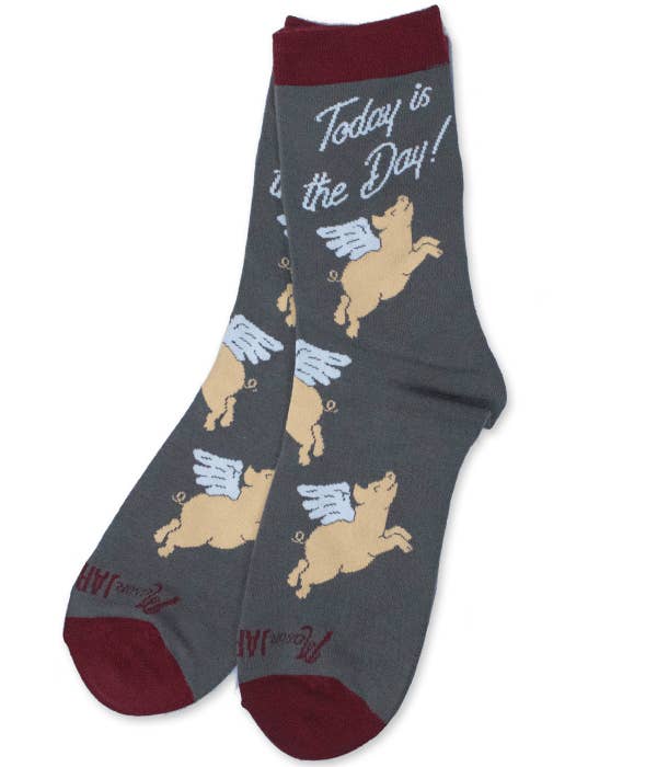 Socks Today's the Day